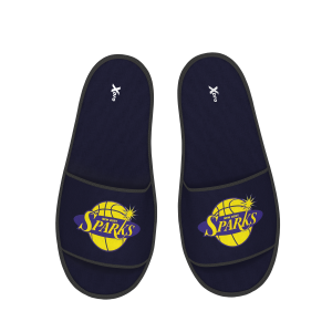 New Ross Sparks Basketball Club Sliders